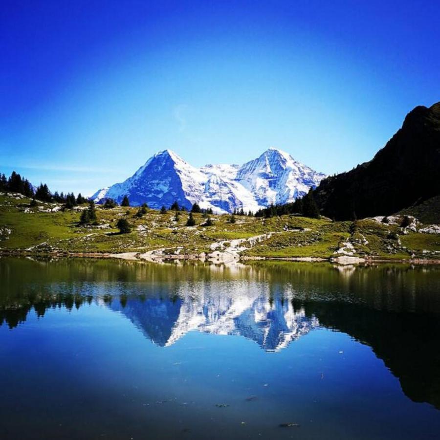 Swisshut Stunning Views Alps Lake - Chalet Erli Därligen Eksteriør bilde
