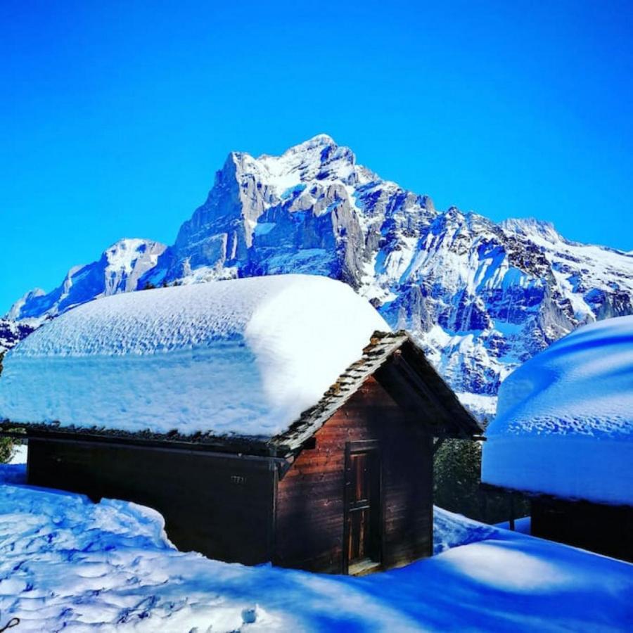 Swisshut Stunning Views Alps Lake - Chalet Erli Därligen Eksteriør bilde